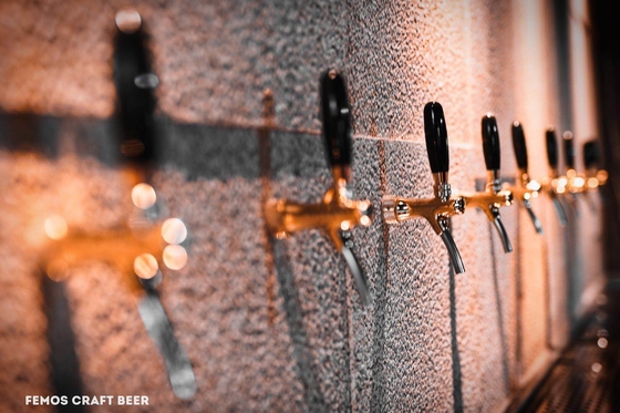 Custom Design Home Brew Urządzenia do parzenia Browarownia do produkcji piwa Walt