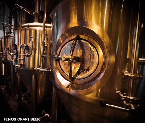 Custom Design Home Brew Urządzenia do parzenia Browarownia do produkcji piwa Walt