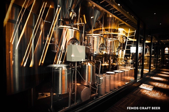 Custom Design Home Brew Urządzenia do parzenia Browarownia do produkcji piwa Walt