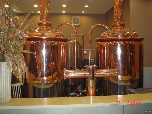 500L Mini Micro Brewery Equipment &quot;Pod klucz&quot; System certyfikacji CE