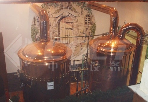 500L Mini Micro Brewery Equipment &quot;Pod klucz&quot; System certyfikacji CE