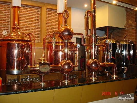 500L Mini Micro Brewery Equipment &quot;Pod klucz&quot; System certyfikacji CE