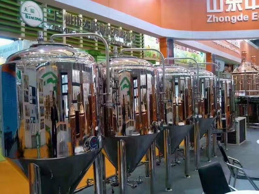 Automatyczny sprzęt do minibrowaru &quot;pod klucz&quot; Materiał ze stali nierdzewnej lub miedzi