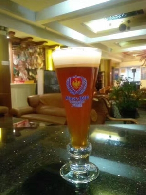 500L 2 Jednostki Craft Piwo Piwa Wyposażenie pod mikrobrowarów