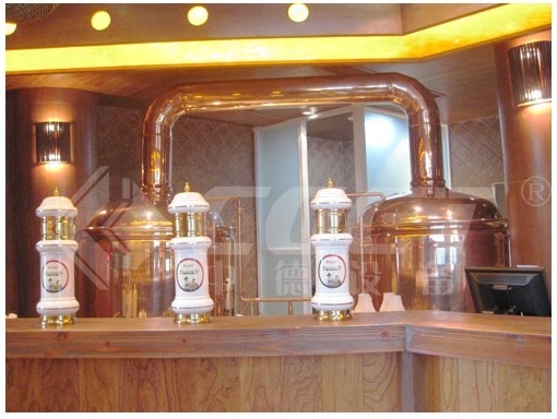 500L Red Copper Urządzenia do parzenia Zestaw do parzenia piwa w domu 1 rok gwarancji
